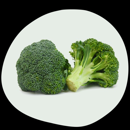 Actif n°5 : Extrait breveté de brocoli Sulfodyne
