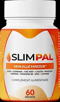 Combien coûte Slimpal ?