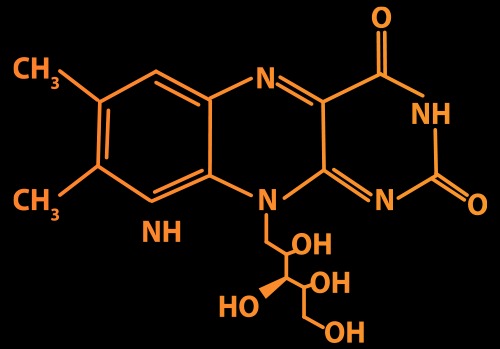 Vitamine B2 (Riboflavine) – Moins de fatigue, plus d’efficacité