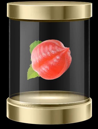 Graine de Guarana – Le brûleur naturel par excellence