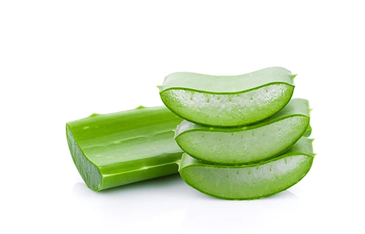 Jus de feuille d’Aloe Barbadensis (Aloe Vera)