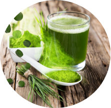 La chlorella